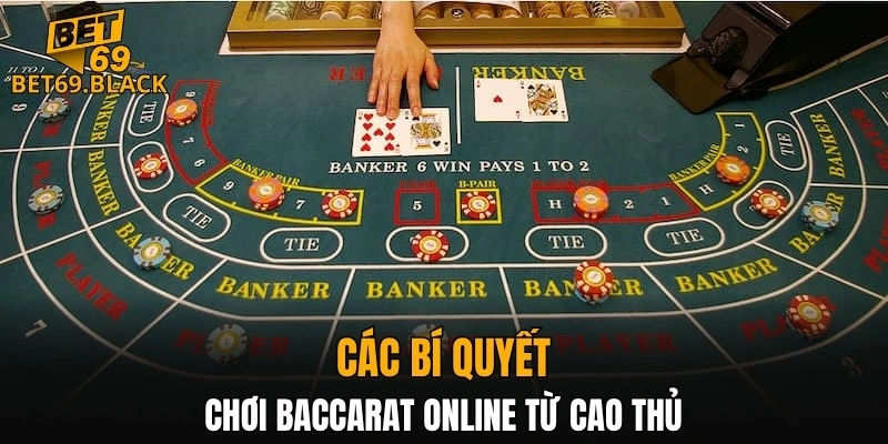 Đá Gà Thomo – Đấu Trường Đỉnh Cao Gà Chiến Năm 2025 7 Các bí quyết chơi baccarat online từ cao thủ