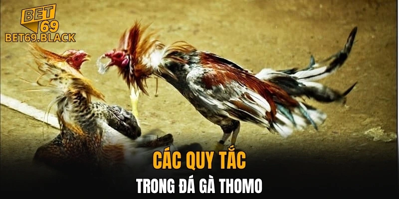 Cách Chơi Bài Uno – Hướng Dẫn Chiến Thuật và Mẹo Thắng 6 Các quy tắc trong đá gà Thomo