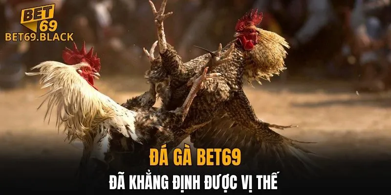 Đá Gà BET69 4 Đá gà BET69 đã khẳng định được vị thế