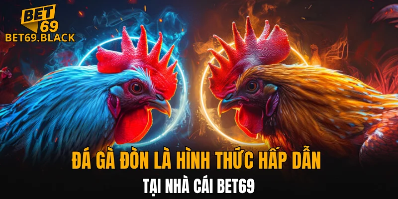 Cách Chơi Bài Uno – Hướng Dẫn Chiến Thuật và Mẹo Thắng 5 Đá gà đòn là hình thức hấp dẫn tại nhà cái BET69