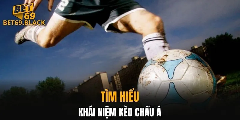 Đá Gà Thomo – Đấu Trường Đỉnh Cao Gà Chiến Năm 2025 5 Giới thiệu thông tin kèo Châu Á