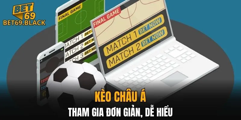 Đá Gà Thomo – Đấu Trường Đỉnh Cao Gà Chiến Năm 2025 7 Thể loại đơn giản dành cho người mới