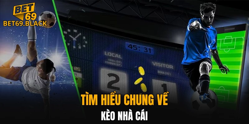 Đá Gà Thomo – Đấu Trường Đỉnh Cao Gà Chiến Năm 2025 5 Tìm hiểu chung về kèo nhà cái